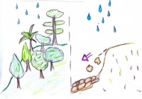 /album/erosion-del-suelo/pfnm0003-jpg/