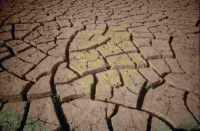 /album/erosion-del-suelo/a7398-jpg/